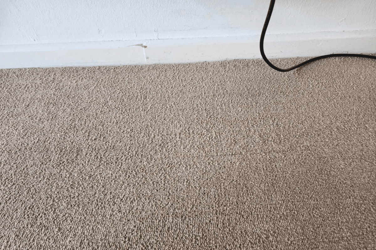 Carpet after professional cleaning service Bellville