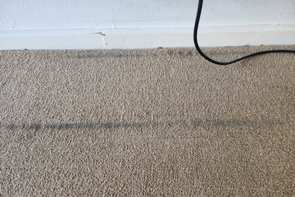 Carpet before professional cleaning service Bellville